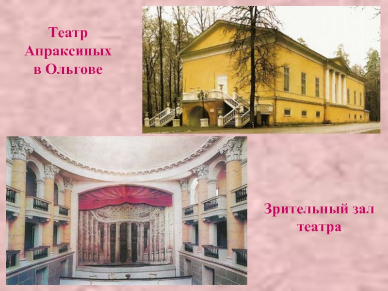 Театр Апраксиных в ОльговеЗрительный зал театра