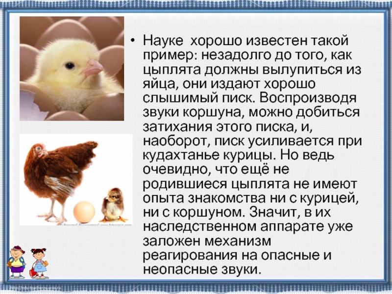 Науке хорошо известен такой пример: незадолго до того, как цыплята должны вылупиться из яйца, они издают хорошо