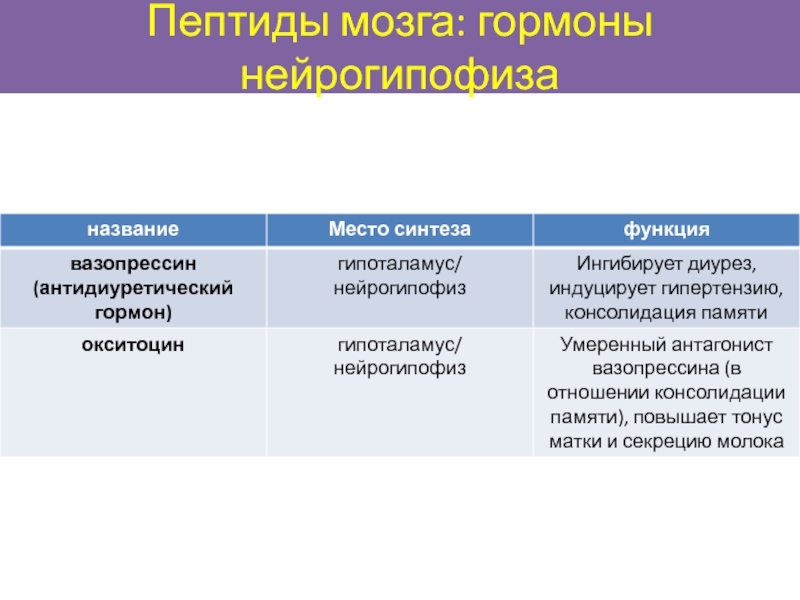 Мозговой пептид. Нейропептиды мозга биохимия. Гормоны нейрогипофиза перечислить. Гормоны мозга и их функции. Пептиды для мозга.