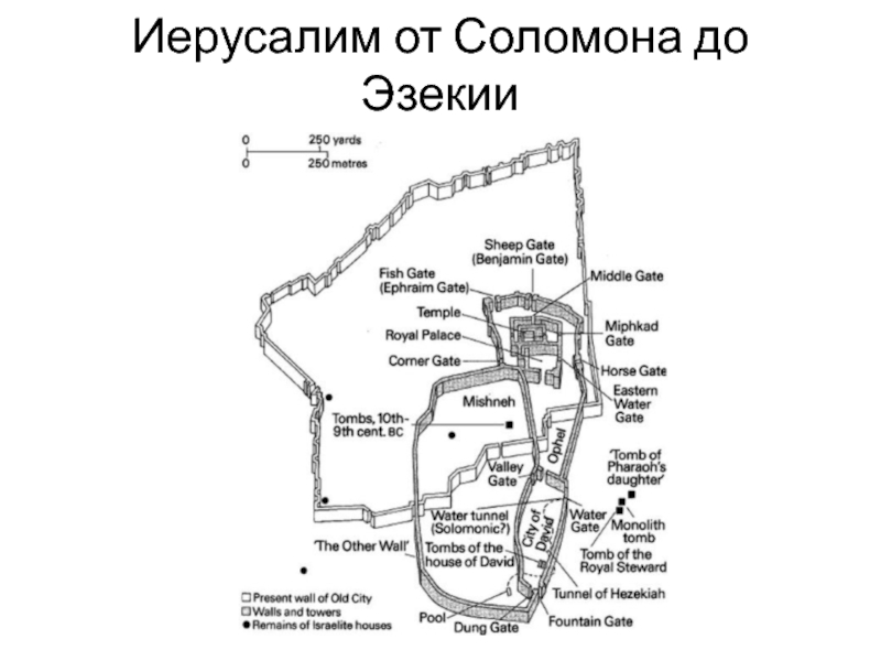 Город соломона 8 букв