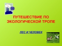 Путешествие по экологической тропе «Лес и человек»