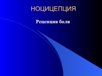Ноцицепция 