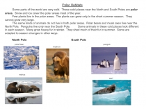 Polar Habitats
Some parts of the world are very cold. These cold places near