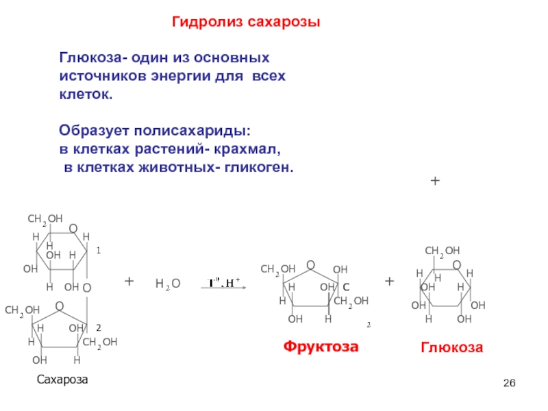 Схема гидролиза крахмала