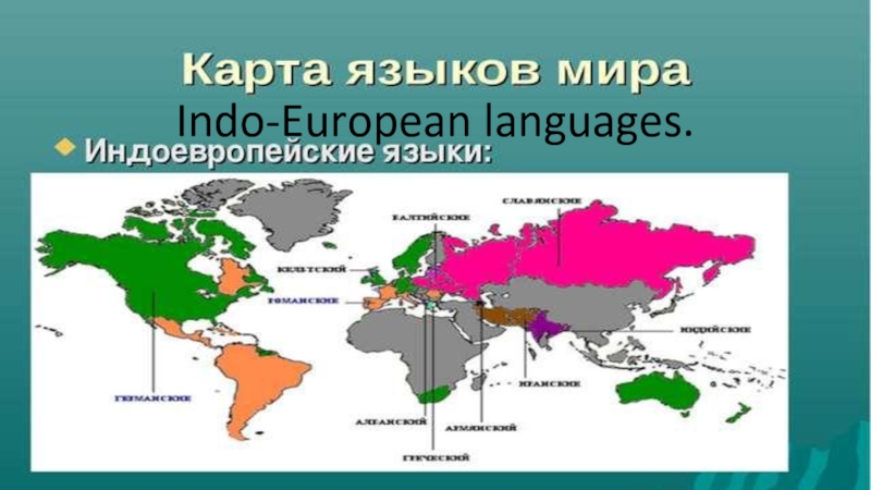 Презентация Indo - European languages 11 класс