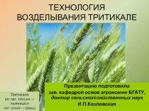 ТЕХНОЛОГИЯ ВОЗДЕЛЫВАНИЯ ТРИТИКАЛЕ