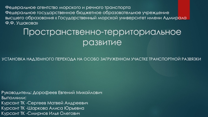 Пространственно-территориальное развитие
Установка надземного перехода на особо