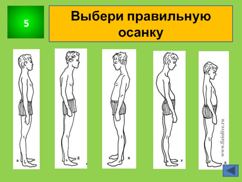 Рисунки про осанку