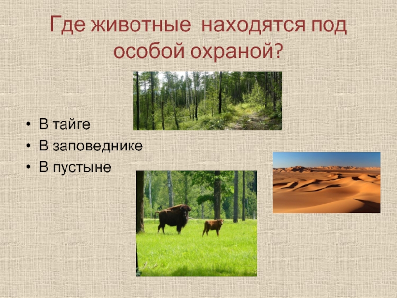 Запиши названия заповедников в пустыне. Где животные под особой охраной. Где животные находятся под охраной. Где находятся животные. Охрана животных в пустыне.