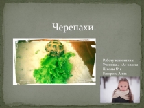 Черепахи