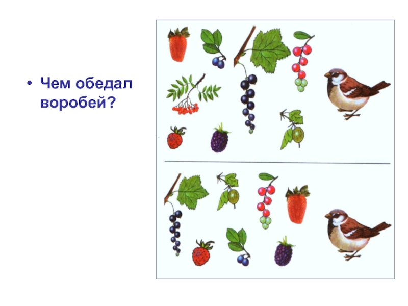 Ягоды презентация для дошкольников с заданиями