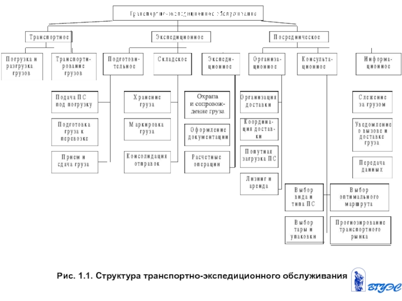 Структура транспортной компании схема