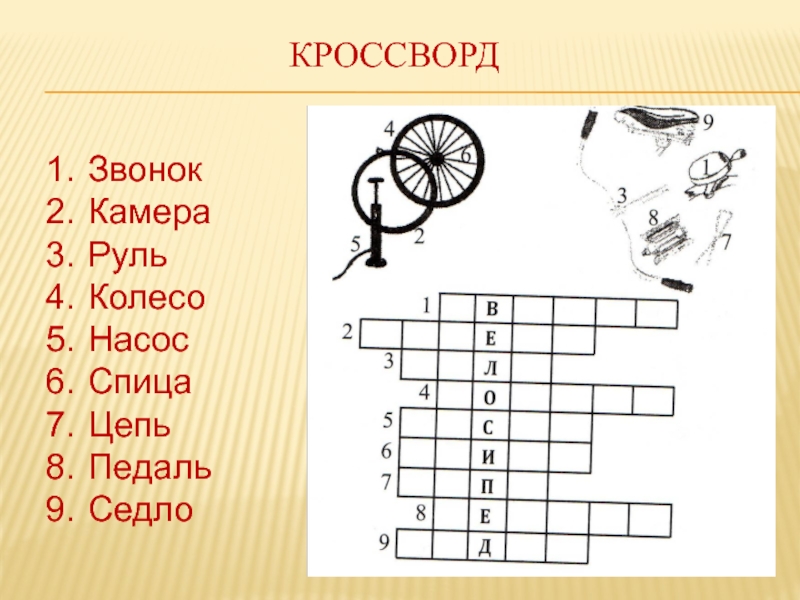 Байка в рисунках кроссворд