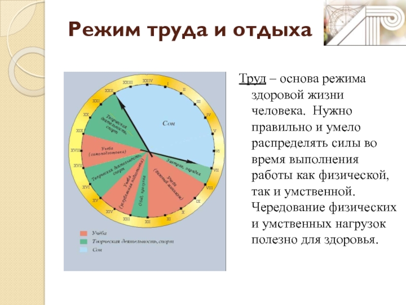 Особенности режима труда и отдыха подростков презентация