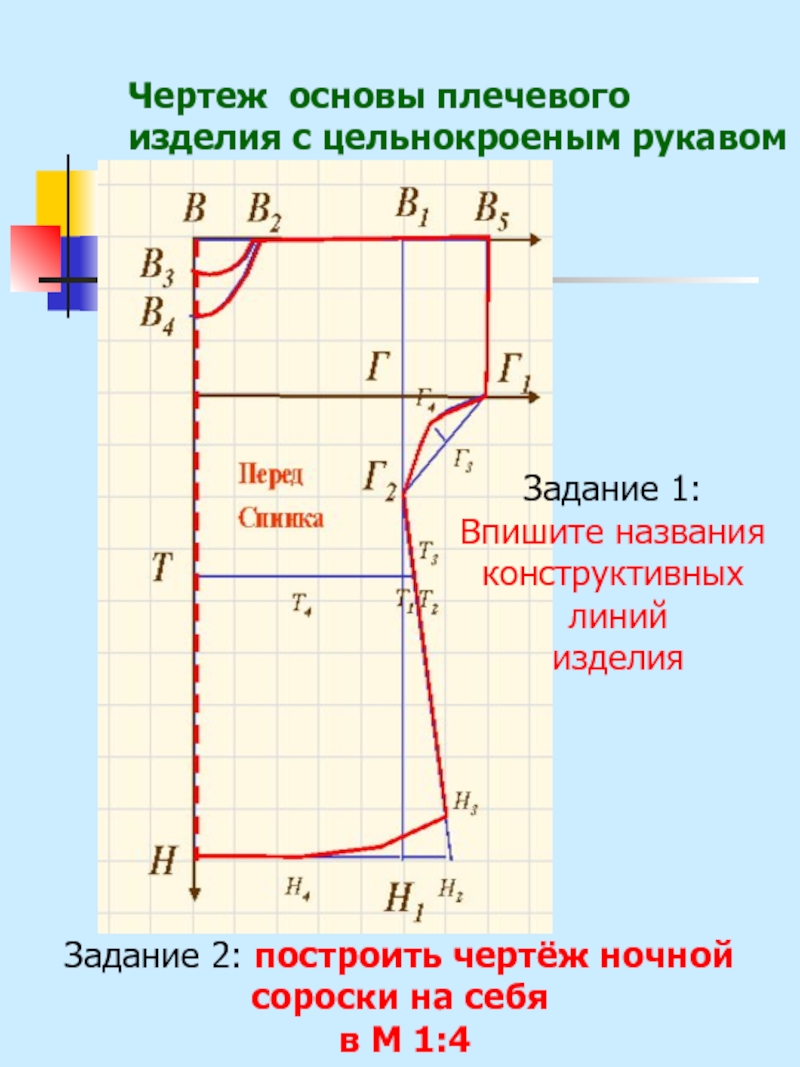 Построение чертежа основы швейного изделия в рабочей тетради выполняется в масштабе