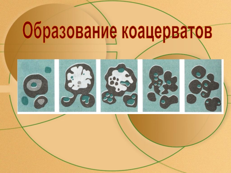 Протобионты. Коацерватов. Формирование коацерватов. Образование коацерватной капли. Этапы образования коацерватов.