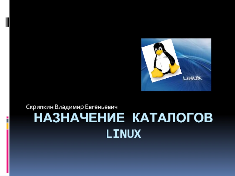 Презентация Назначение каталогов Linux