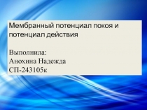 Мембранный потенциал покоя и потенциал действия
Выполнила:
Анохина Надежда
