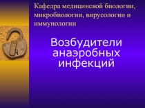 Анаэробные инфекции