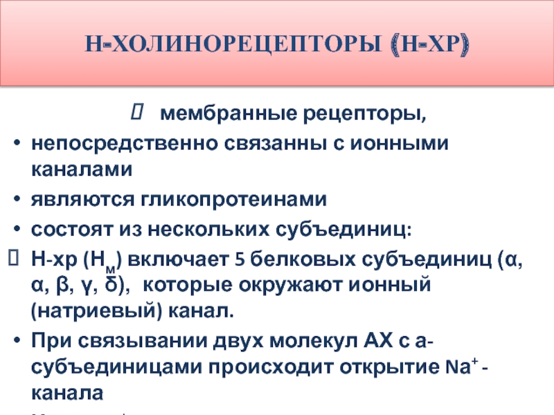 Холинорецепторы