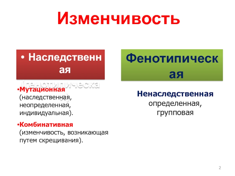 Изменчивость определяет. Неопределенная мутационная изменчивость. Ненаследственная изменчивость мутационная комбинативная. Ненаследственная изменчивость Неопределенная. Неопределенная наследственная изменчивость.