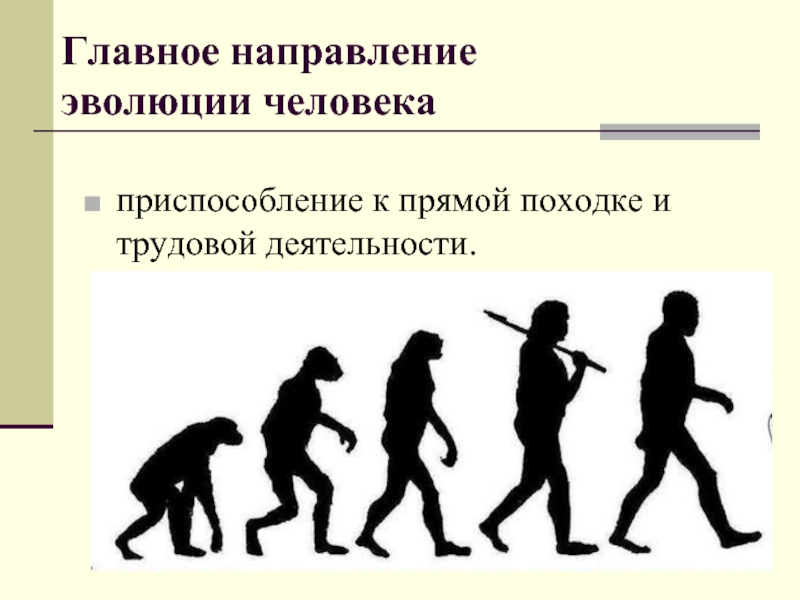 Направления эволюции человека