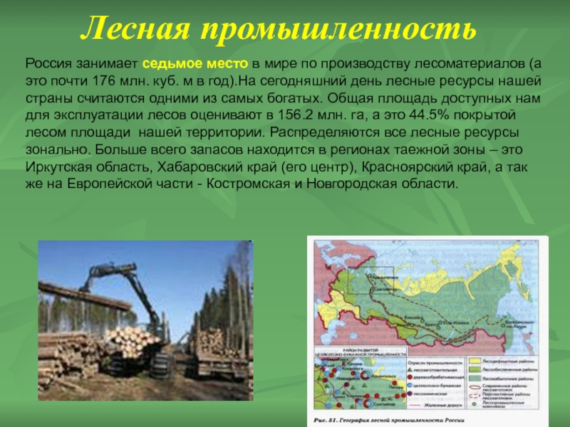 Лесная промышленность центр производства. Отрасли Лесной промышленности в России. Лесня промышленность Росси. Лесная и деревообрабатывающая промышленность России карта. Центры Лесной промышленности России.