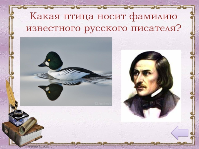 Носит название. Какая птица носит фамилию известного русского писателя. Птичьи фамилии в литературе. Птица однофамилица известного русского писателя. Писатели с птичьими фамилиями.