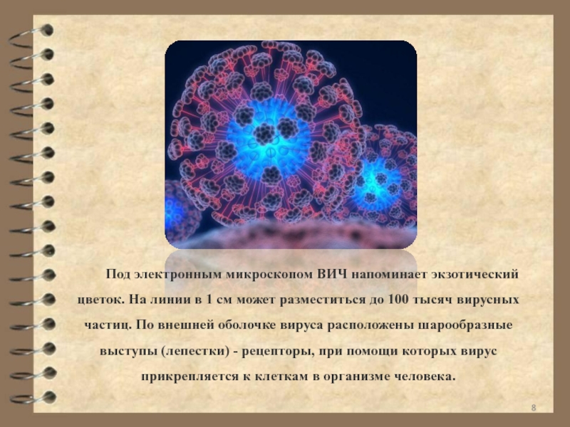 Вирусную частицу называют. ВИЧ под электронным микроскопом. ВИЧ электронная микроскопия. Вирус иммунодефицита человека электронный микроскоп. Оболочки вирусных частиц.