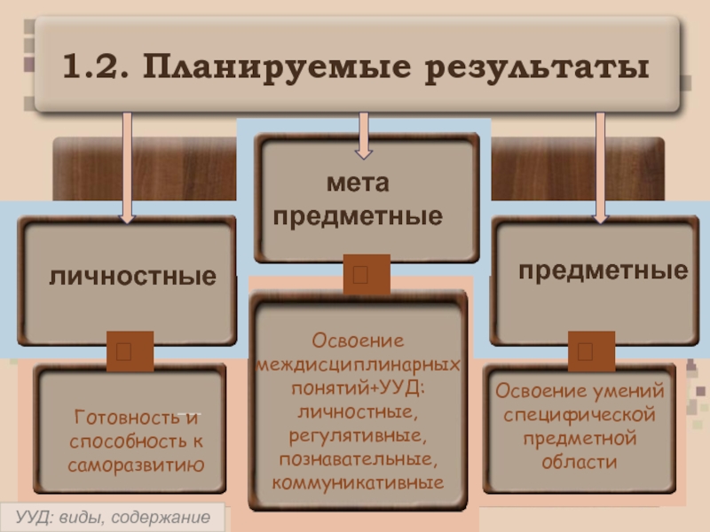 Освоение умений. Предметно-специфические навыки примеры.