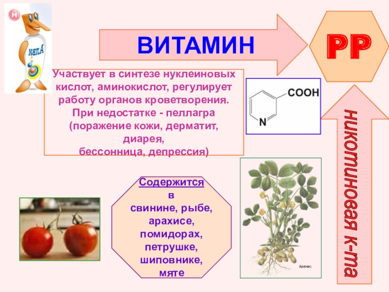 Презентация витамина к