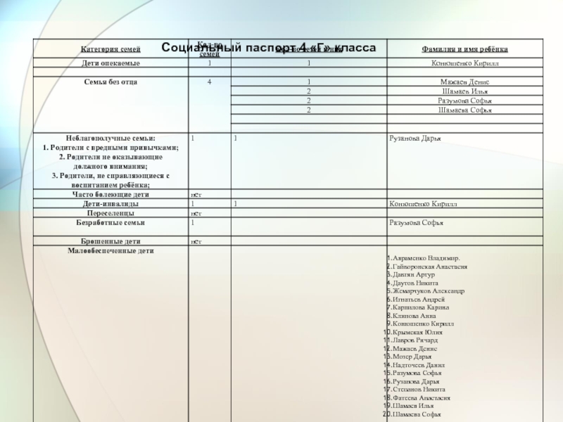 Паспорт социального проекта в школе