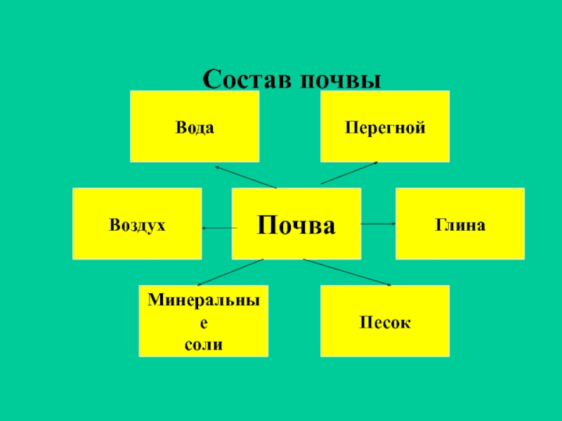 Схема состав почвы 5 класс