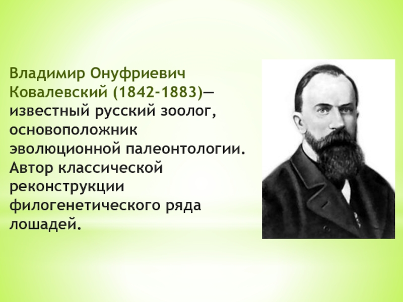 Ковалевский александр онуфриевич презентация