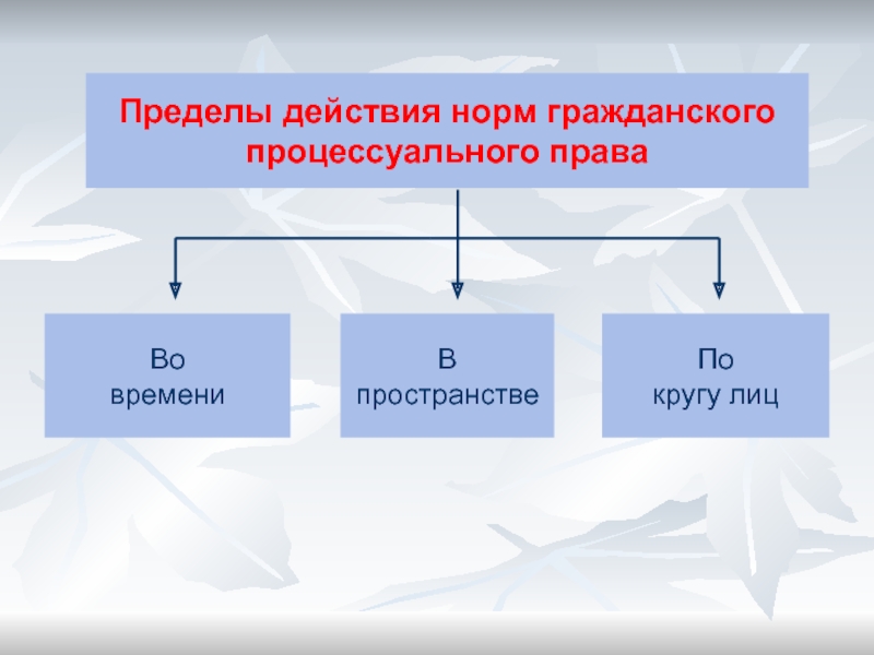 Презентация действие норм права во времени в пространстве и по кругу лиц