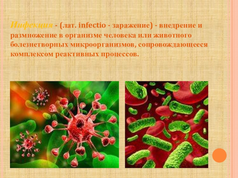 Вирусы группа микроорганизмов. ВБИ микробы. Паст инфекция это. Процесс инфицирования бактериями.