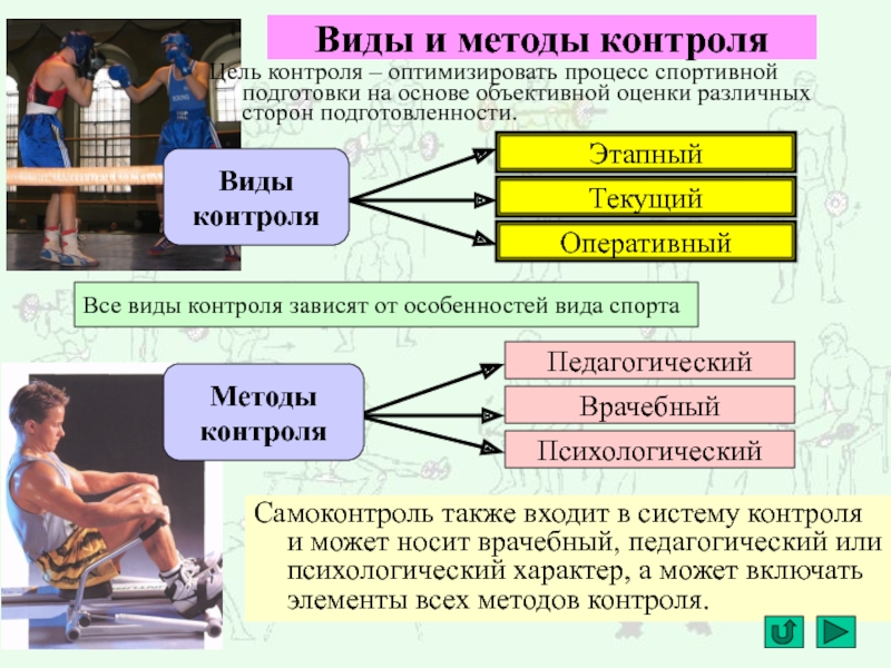 Особенности занятий избранным видом спорта или системой физических упражнений презентация