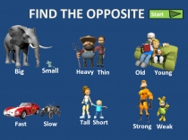 FIND THE OPPOSITE
Big
Small