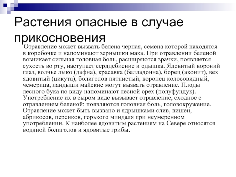 Белена отравление. Белена симптомы отравления. Симптомы отравления алкалоидами белены. Симптомы отравления беленой черной. Антидот при отравлении беленой.