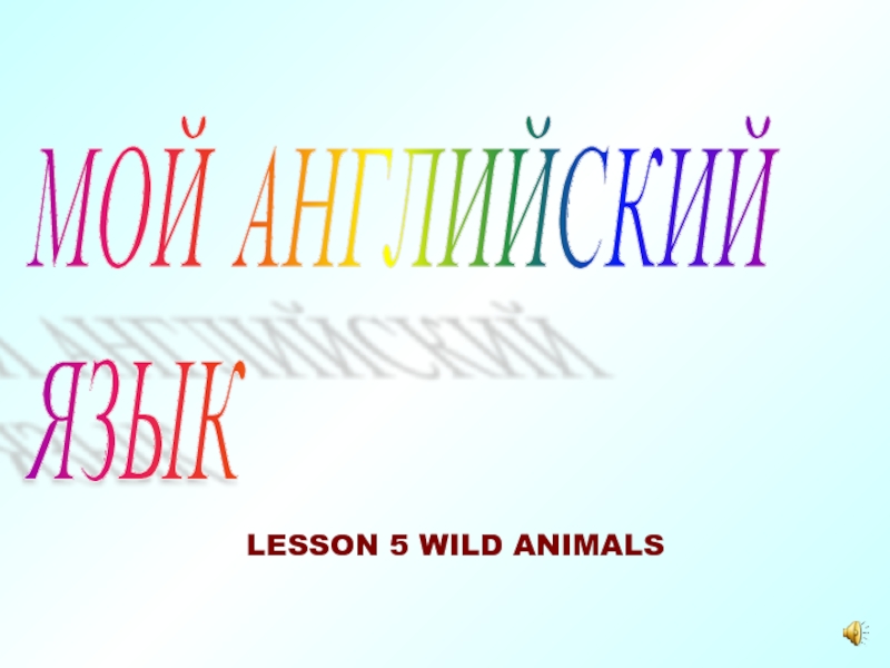 Мой Английский язык Lesson 5 wild animals