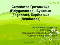 Семейства Гречишные( Polygonaceae ), Буковые (Fagaceae), Берёзовые (Betulaceae)