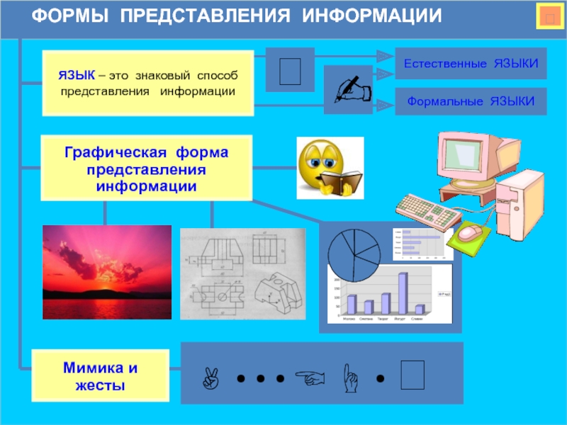 Презентация на тему язык как способ представления информации