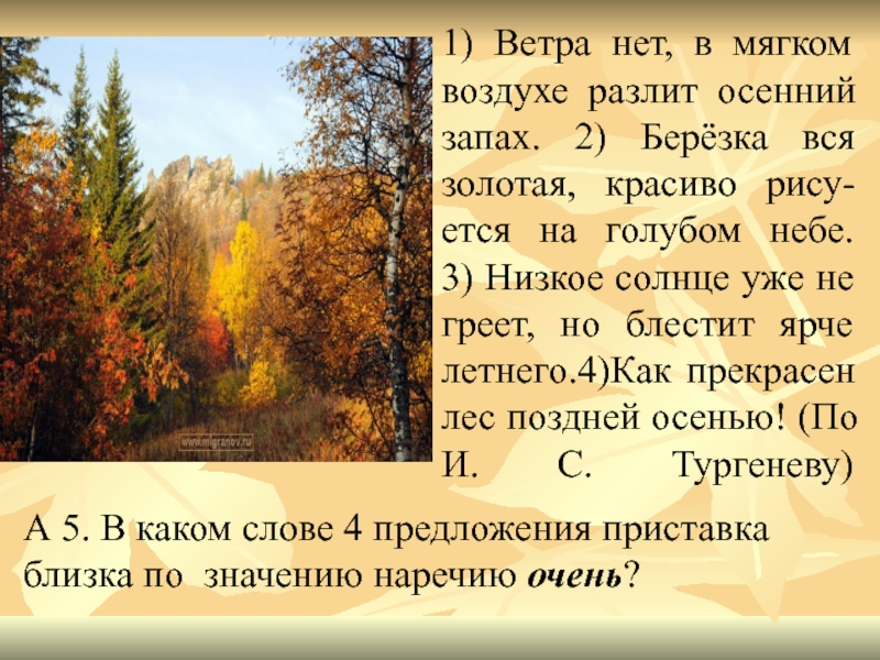 Русский язык 5 класс стоит поздняя осень. Ветра нет в мягком воздухе разлит осенний запах. В мягком воздухе разлит осенний запах. В воздухе пахнет осенью. И Тургенев в мягком воздухе разлит осенний запах.