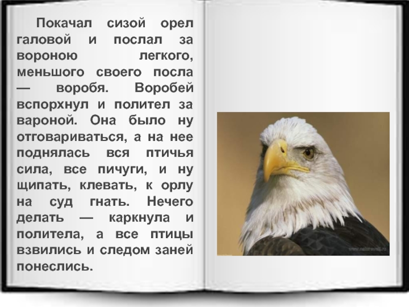 Орел смысл. В даль ворона текст. Даль ворона и орёл. История про орла и ворона. Что значит сизый Орел.