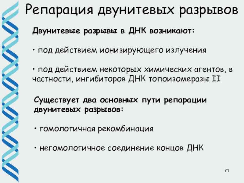 Репарация днк презентация