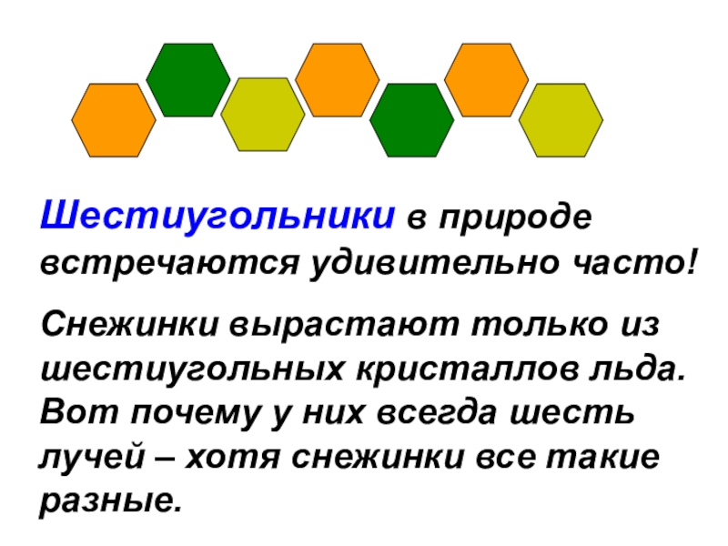 Всегда 6. Шестиугольник в природе. Шестиугольная форма в природе. Правильный шестиугольник в природе. Шестиугольник в математике.