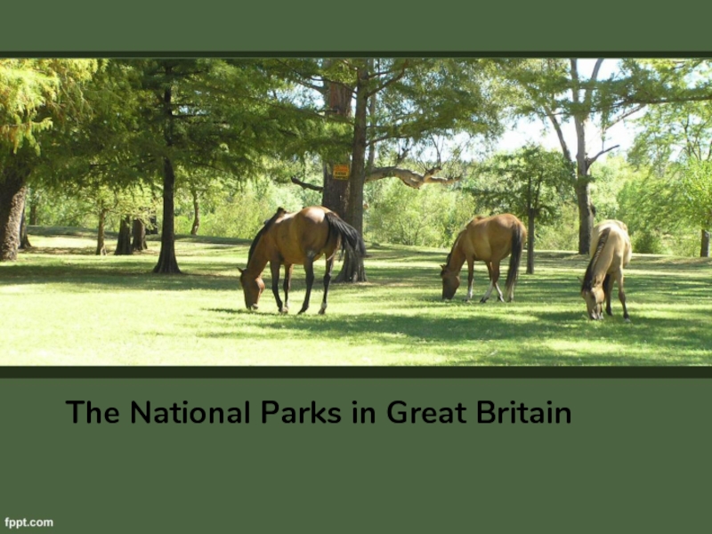The National Parks in Great Britain