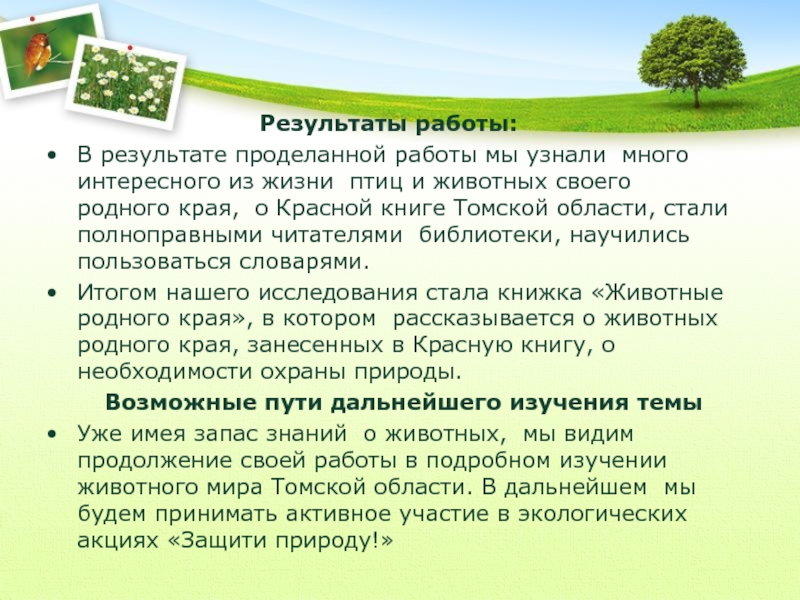 Рассказ о красоте животных родного края. Этапы работы - животные родного края.. Актуальность изучения животных родного края. Результат проделанной работы проект.