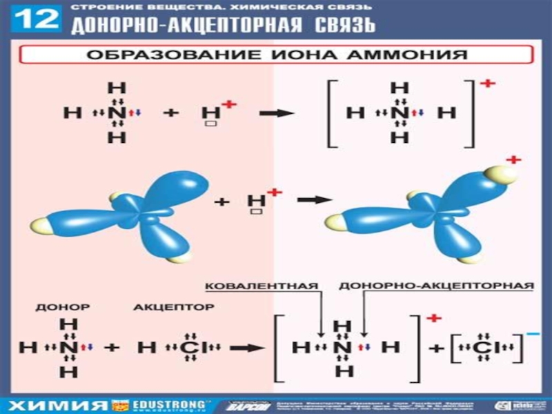 Nh3 химическая связь и схема