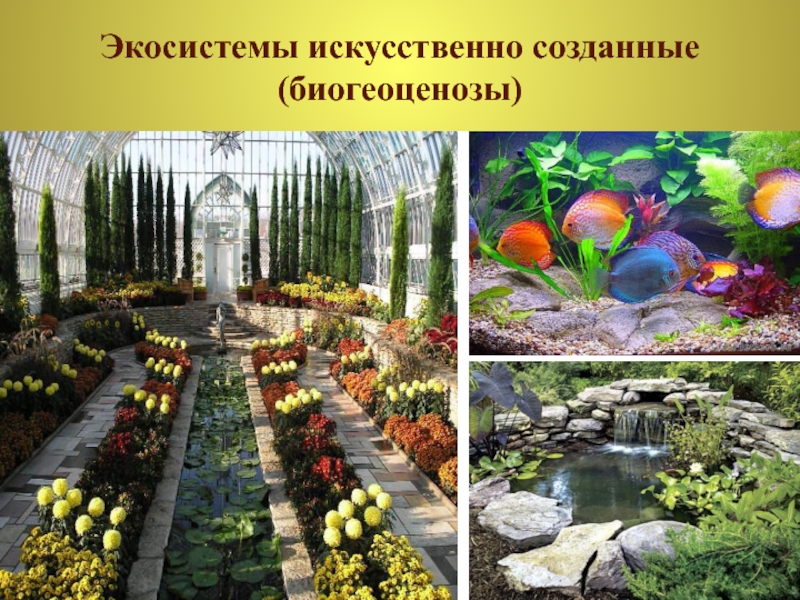 Искусственные экосистемы фото